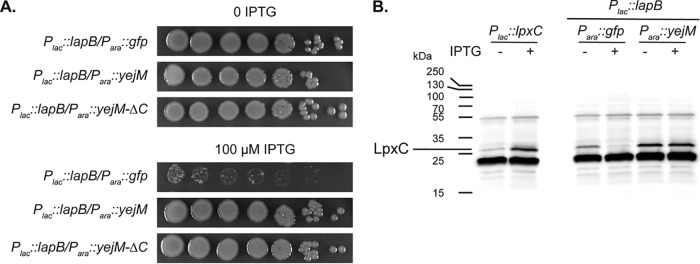 FIG 4