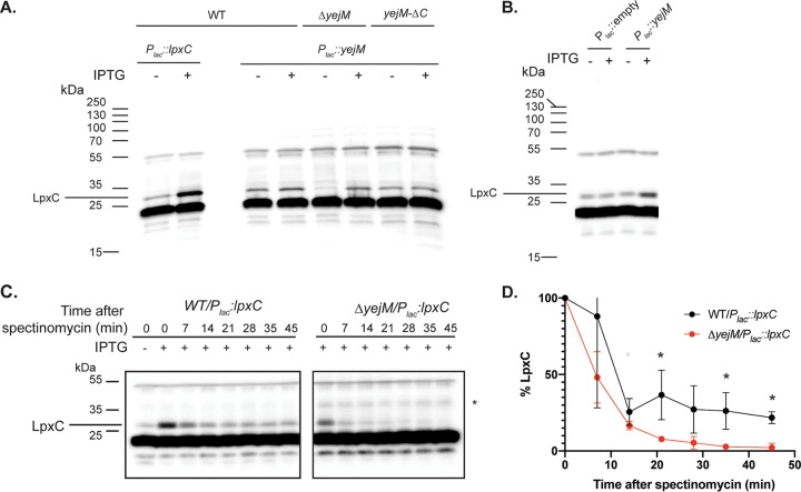 FIG 2