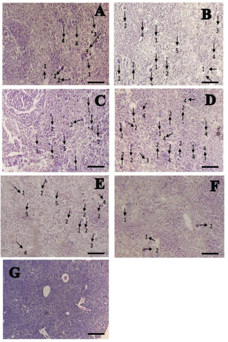 Figure 3