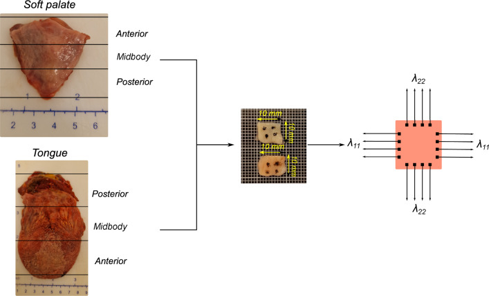 Fig. 13