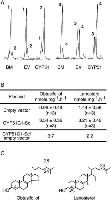 Figure 6.