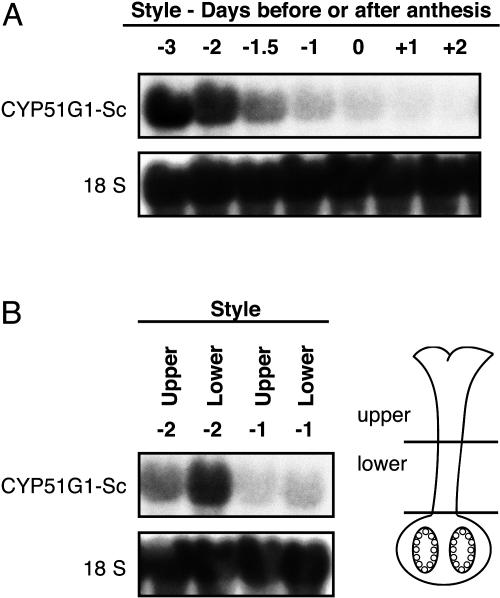 Figure 5.