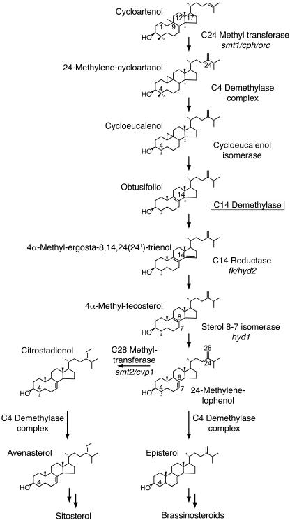 Figure 1.