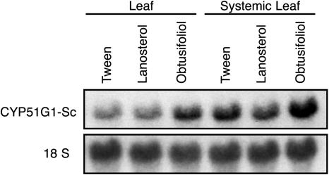 Figure 7.