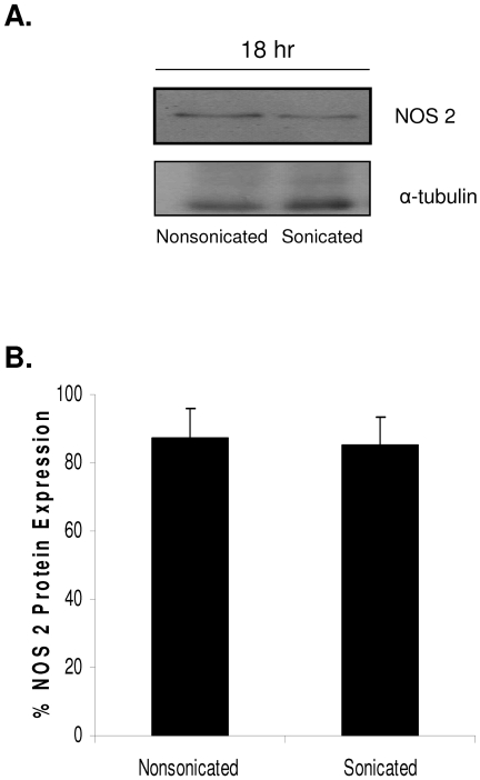 FIG. 5.