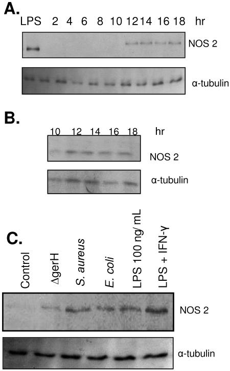 FIG. 2.