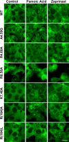 FIGURE 7.