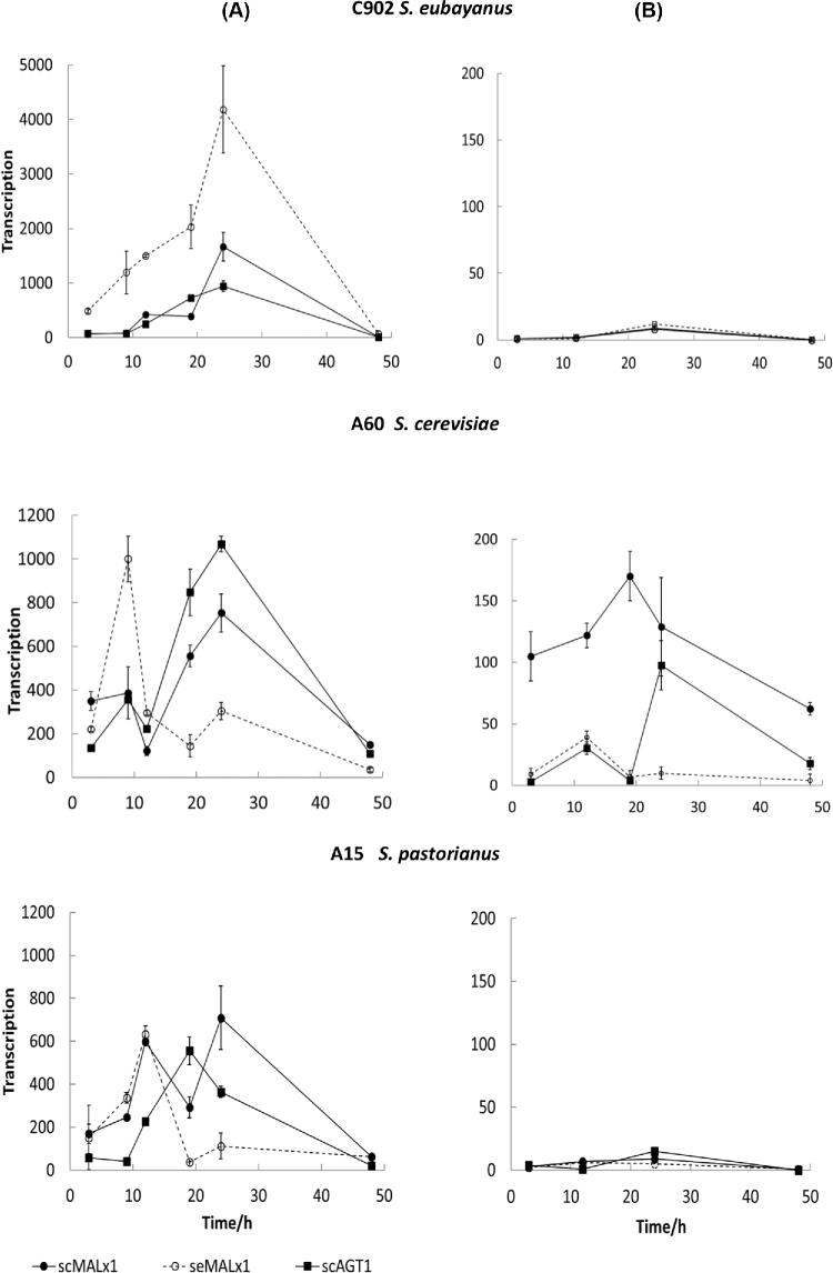 Figure 4.