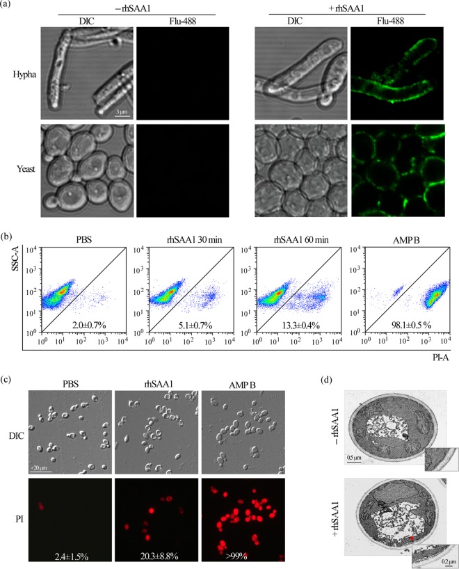 FIG 4