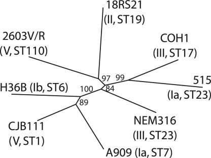 Fig. 4.