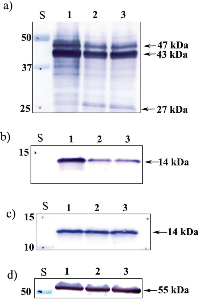 FIG. 5