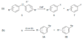 Scheme 4