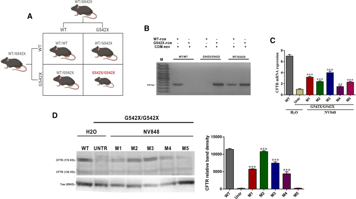 Figure 4