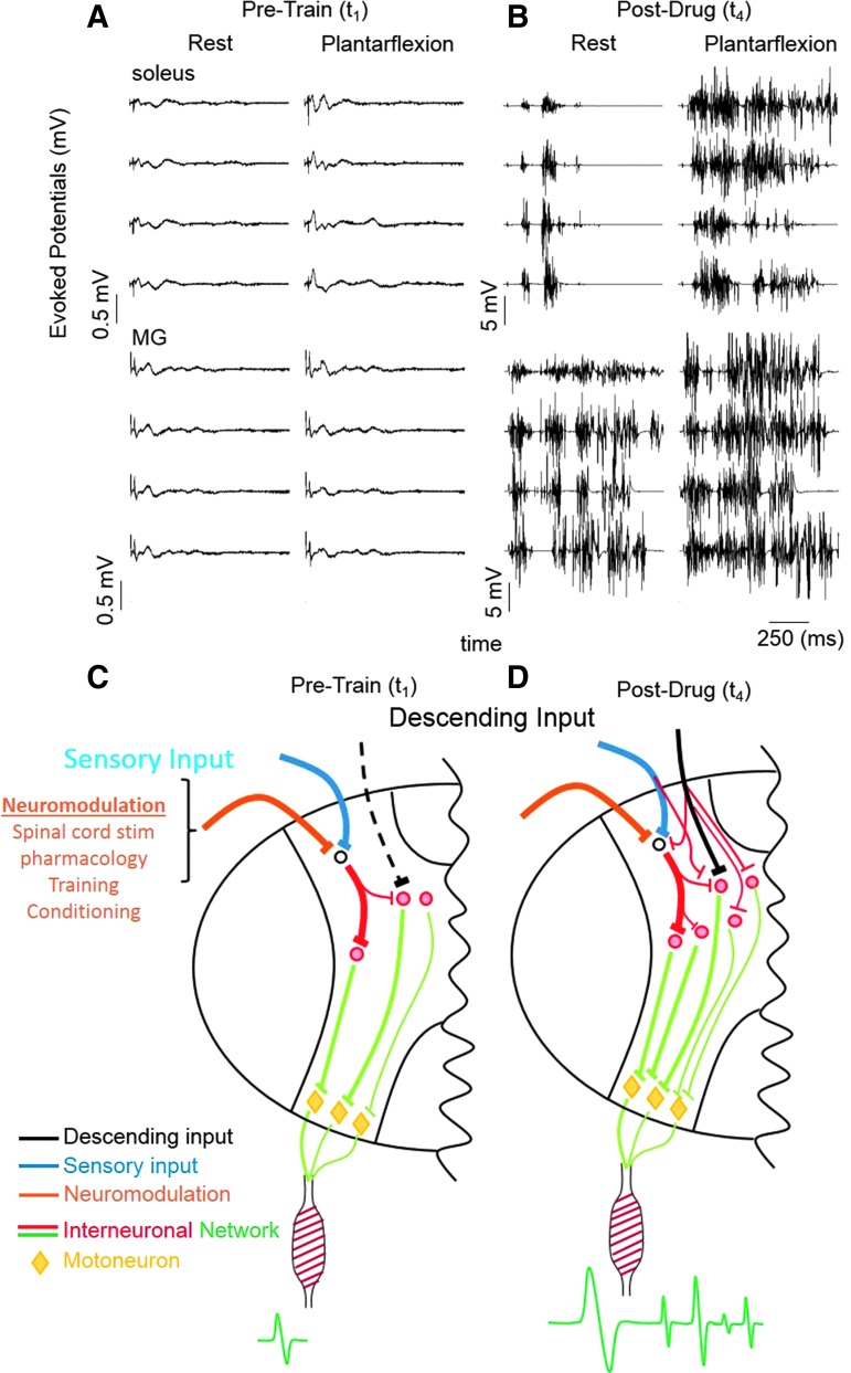 FIG. 9.