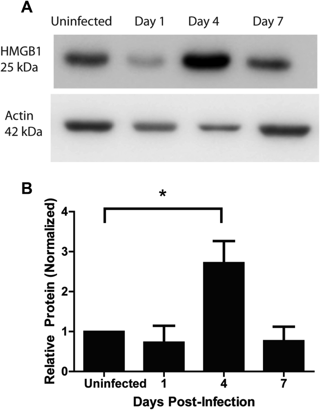 Fig. 3