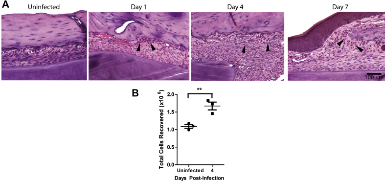 Fig. 4