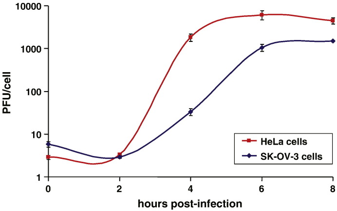 Fig. 2