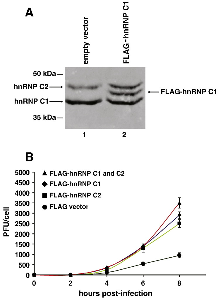 Fig. 5