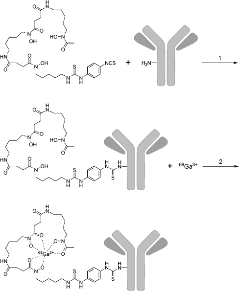 Fig. 1