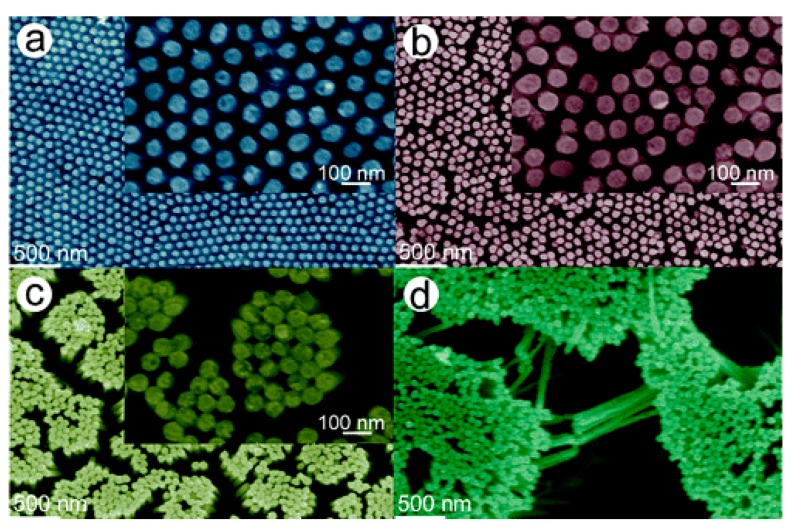 Figure 31