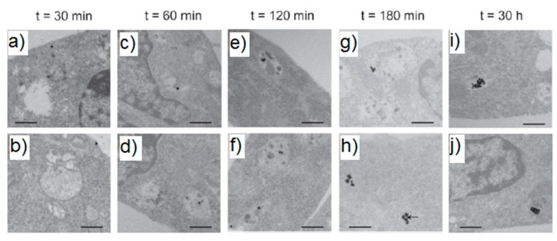 Figure 49