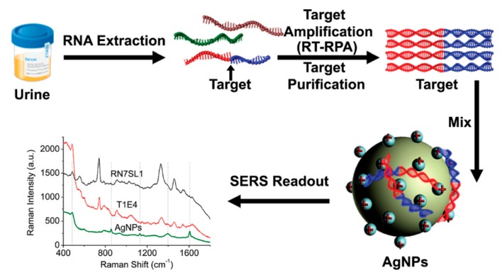 Figure 46