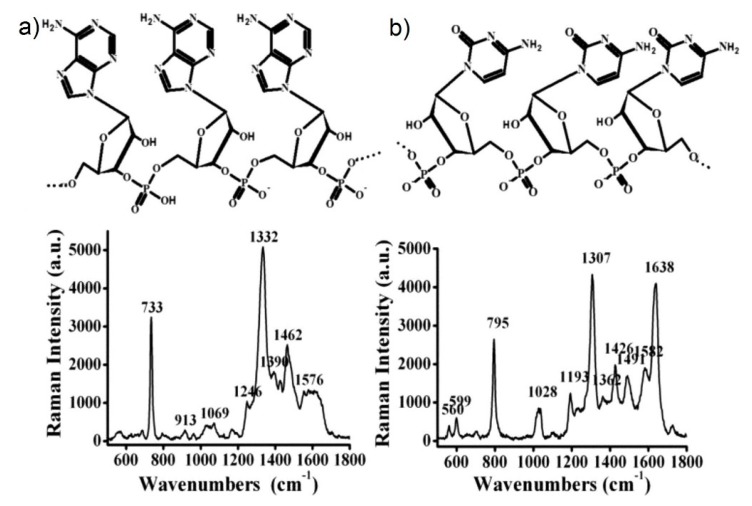 Figure 45