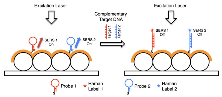 Figure 55