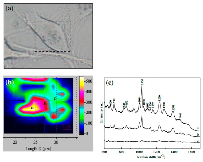 Figure 51