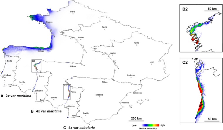 FIGURE 3