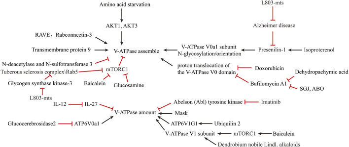 FIGURE 3