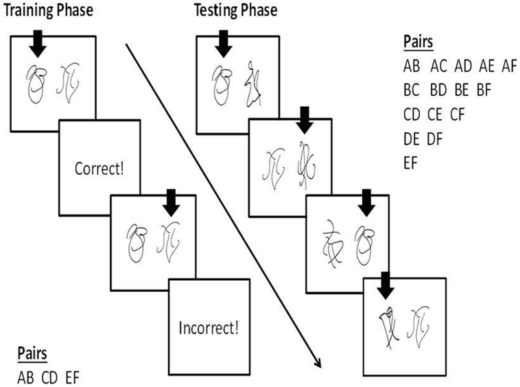 FIGURE 1