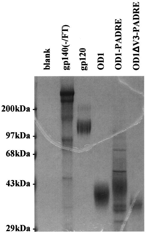 FIG. 5.