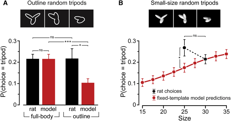 Figure 5