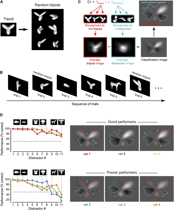 Figure 2