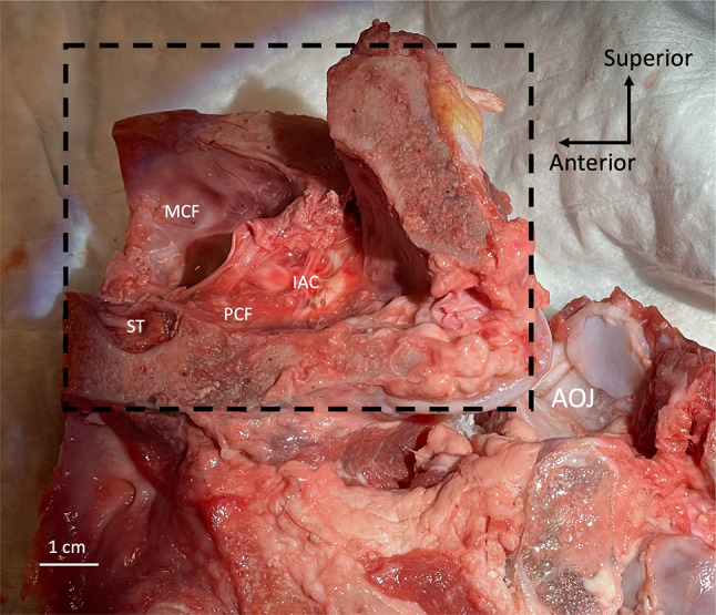 Fig. 3
