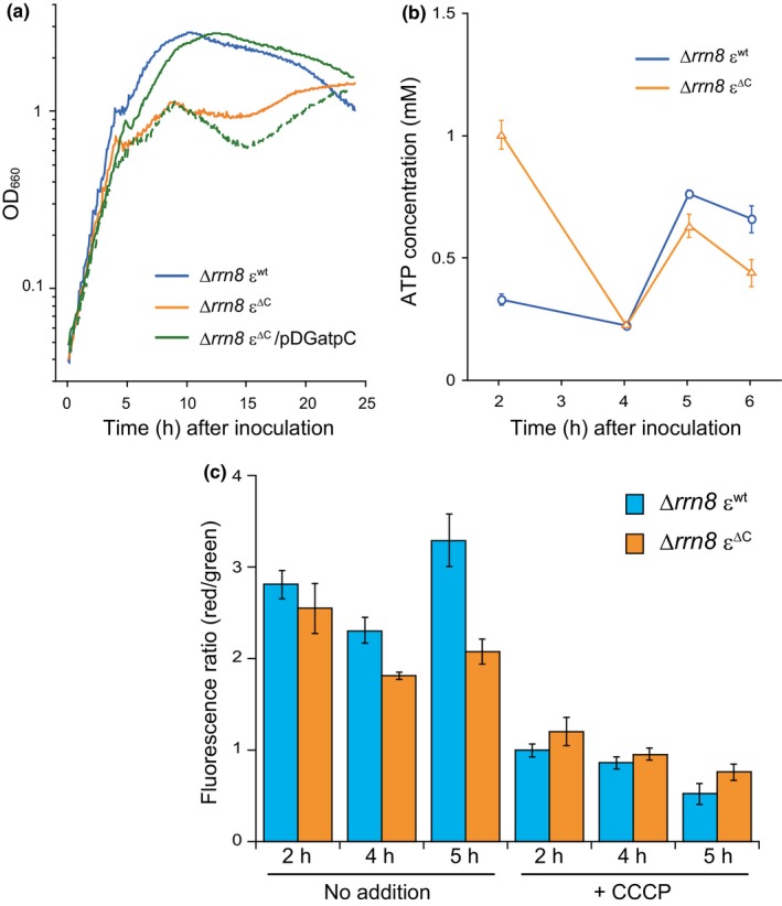 Figure 4