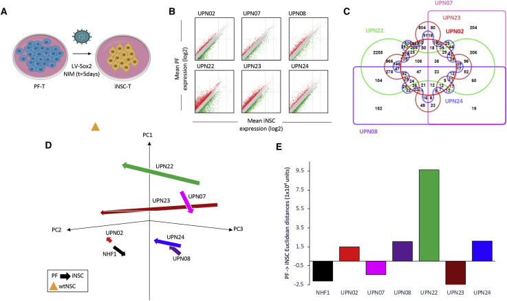 Figure 3