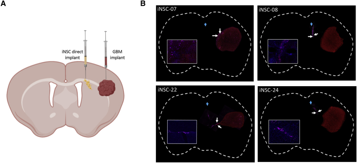 Figure 5