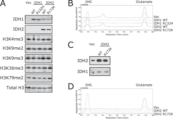 Figure 7—figure supplement 1.