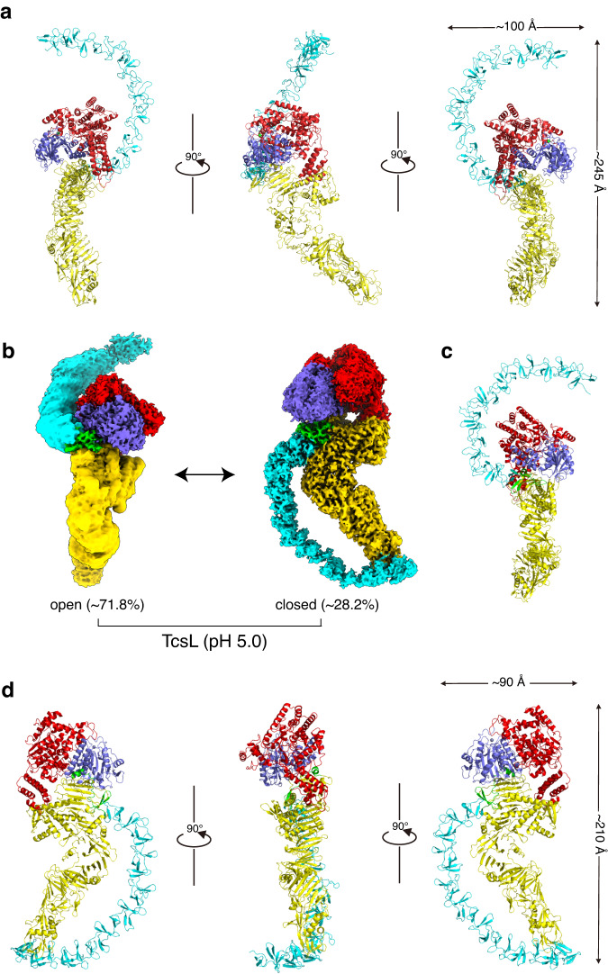 Fig. 3