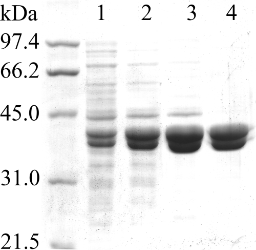 FIG. 4.