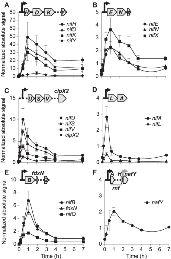 FIG 2