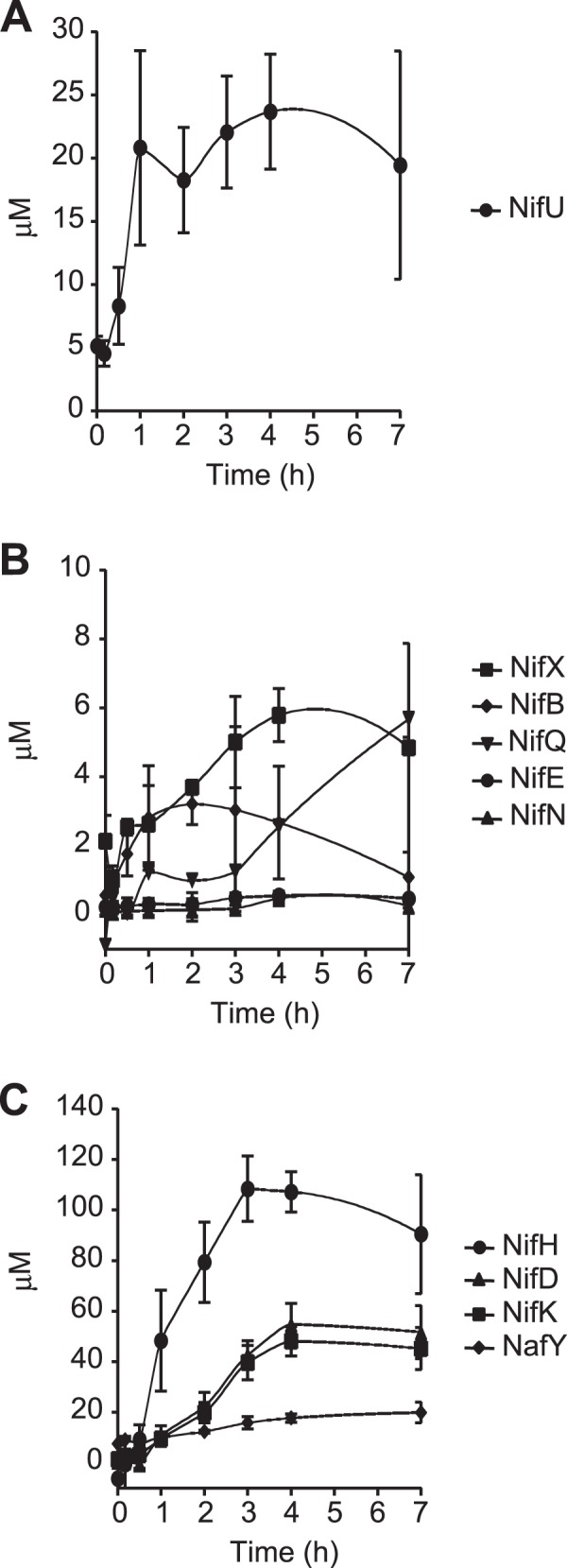 FIG 3