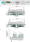 FIG 5