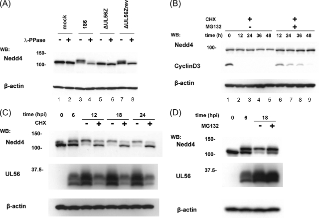 FIG. 7.