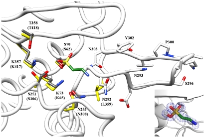 Figure 9