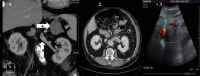 Figure 1: