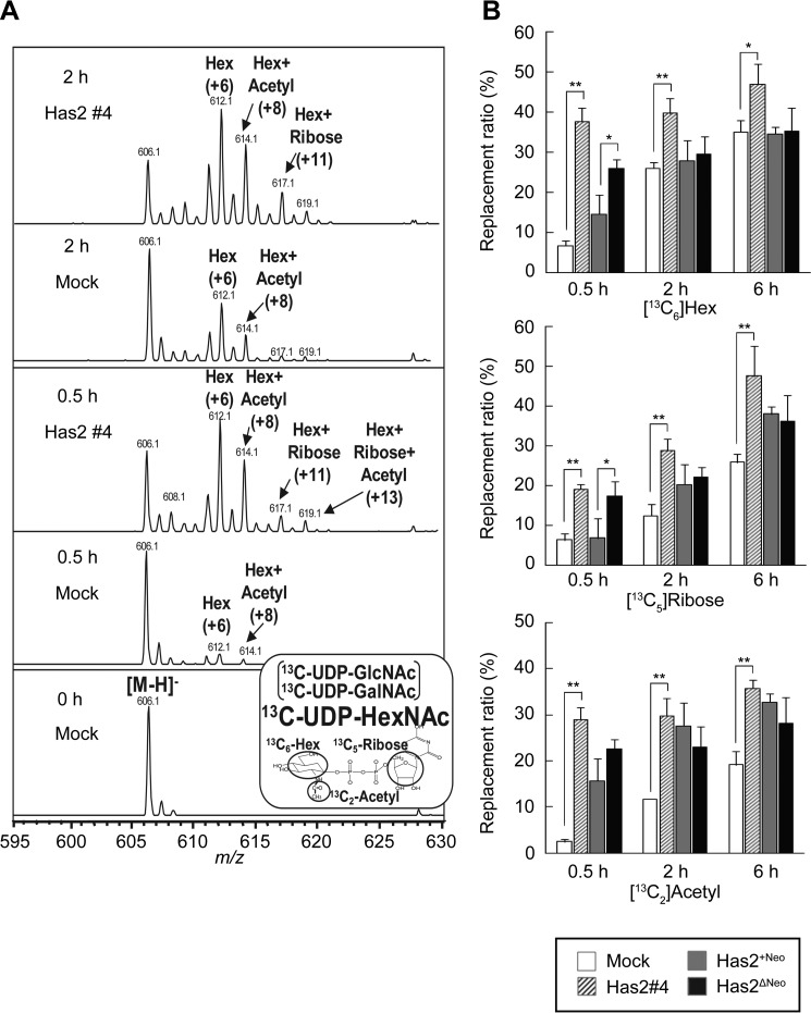 FIGURE 2.