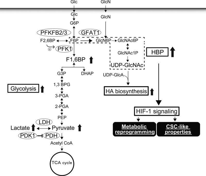 FIGURE 10.